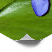 Poster der tropischen Wasserlilie (Ecke)