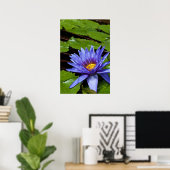 Poster der tropischen Wasserlilie (Heimbüro)