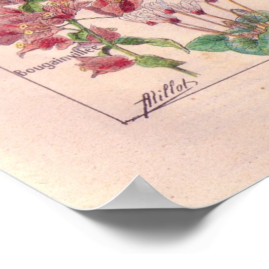 Poster der Vintagen Blume 1920 (Ecke)