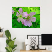 Poster der Wild-Geranium-Serie (Heimbüro)