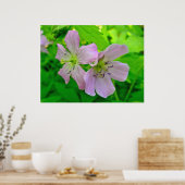 Poster der Wild-Geranium-Serie (Küche)