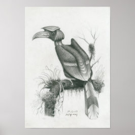 Poster des Kambodschanischen Hornbill Bird von Van