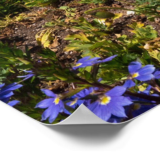 Poster des LDS-Tempels von San Diego (Ecke)