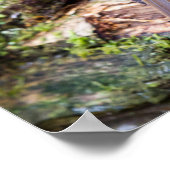 Poster des Robin on log (Ecke)