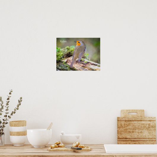 Poster des Robin on log (Küche)