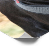 Poster des Schwarzen Mops (Ecke)