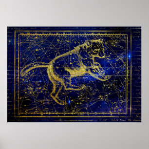 Poster des Sternbildes Großer Bär