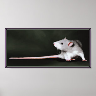 Poster des süßen Ratten-Gemäldes