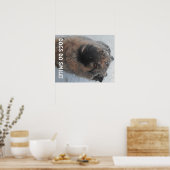 Poster deutscher Hirte im Schnee lächelnd (Küche)