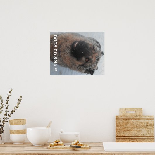 Poster deutscher Hirte im Schnee lächelnd (Küche)