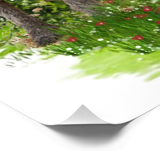 Poster (deutsches Drahthaar Pointer, GWP) (Ecke)