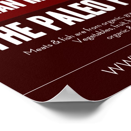 Poster: Die Paleo-Pyramide Poster (Ecke)