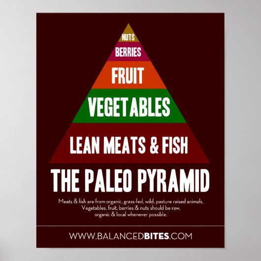 Poster: Die Paleo-Pyramide Poster (Vorne)