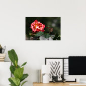 Poster Die verwelkende Rose (Heimbüro)
