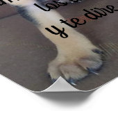 Poster Dime como eres con los animales (Ecke)