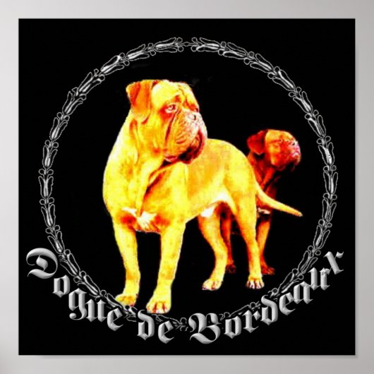 Poster Dogue de Bordeaux (Vorne)