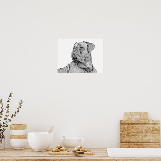 Poster Dogue de Bordeaux (Küche)