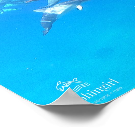 Poster "Dolphin Family" (Ecke)