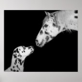 Poster dottiert (Vorne)