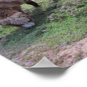 Poster - Drei Schafe (Ecke)