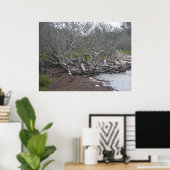 Poster Driftwood & Eel Grass Soundside OBX NC (Heimbüro)