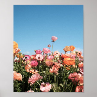 Poster druck von Feld mit farbenfrohen Blumen