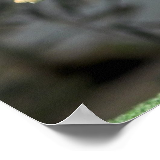 Poster drucken (Ecke)