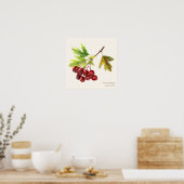 Poster drucken von Hawthorn (Küche)