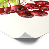 Poster drucken von Hawthorn (Ecke)