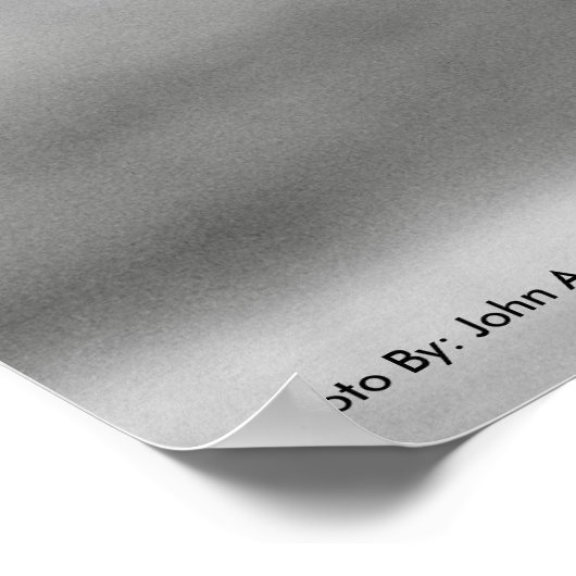 POSTER DSC_8249, Zebra Smile (Ecke)