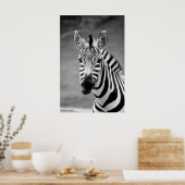 POSTER DSC_8249, Zebra Smile (Küche)