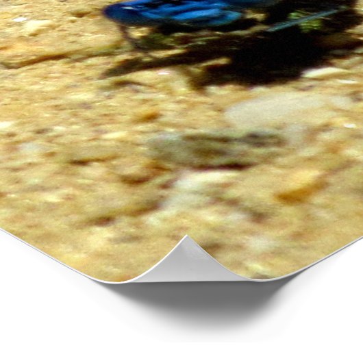 Poster - Du siehst mich an? (Ecke)