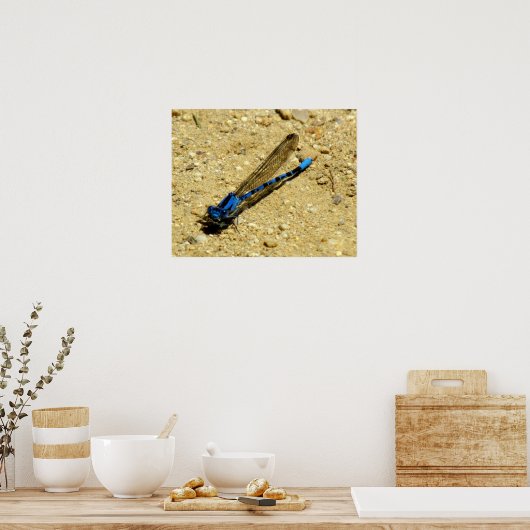 Poster - Du siehst mich an? (Küche)