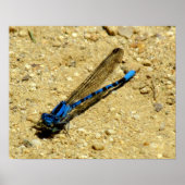 Poster - Du siehst mich an? (Vorne)