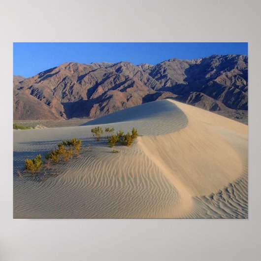 Poster "Dunes and Mountains" vom 14.95 Uhr (Vorne)