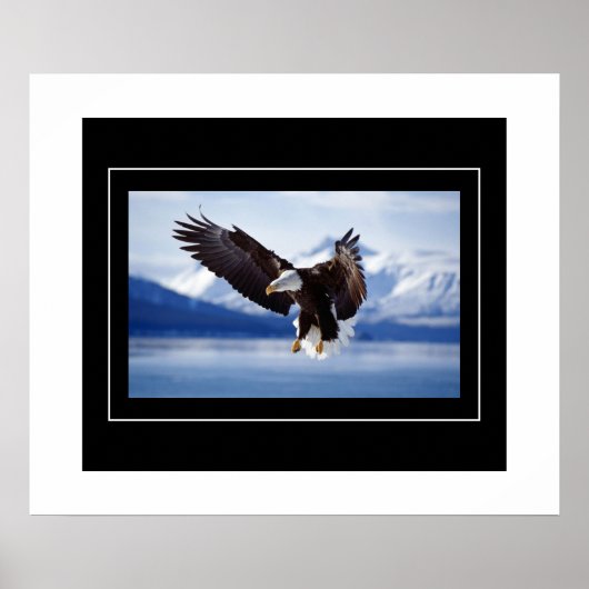 Poster-Eagle Poster (Vorne)