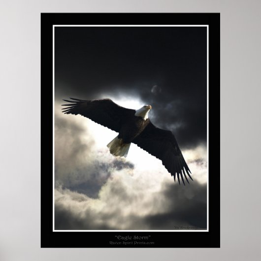 Poster "Eagle Storm" (Vorne)