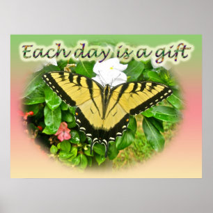 Poster Eastern Tiger Frack Butterfly