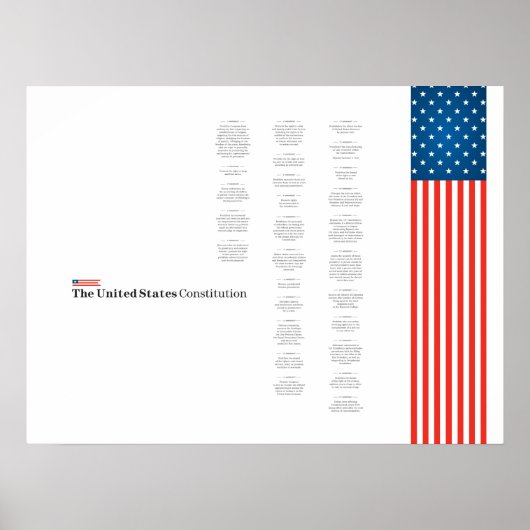 Poster Econo USA Constiution American Flag (Vorne)