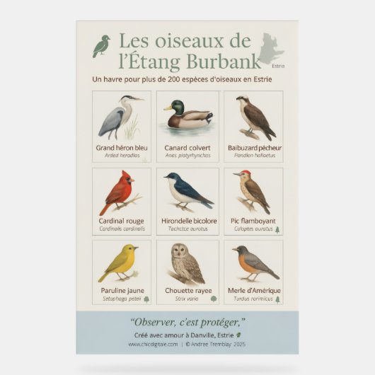 Poster éducatif – Les oiseaux de l’Étang Burbank ( (Vorderseite)