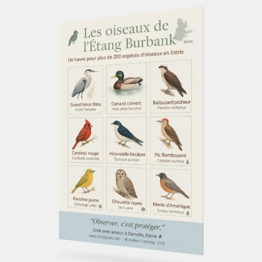 Poster éducatif – Les oiseaux de l’Étang Burbank ( (Winkel)