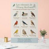 Poster éducatif – Les oiseaux de l’Étang Burbank ( (Hochzeit)