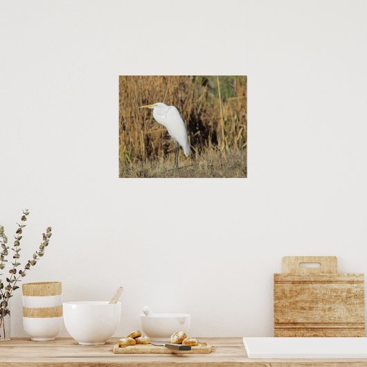 Poster - Egret im Gras (Küche)