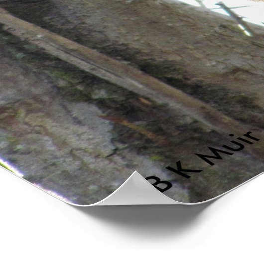 Poster - Eichhörnchen (Ecke)