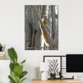 Poster - Eichhörnchen (Heimbüro)