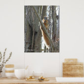 Poster - Eichhörnchen (Küche)