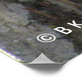 Poster - Eichhörnchen (Ecke)