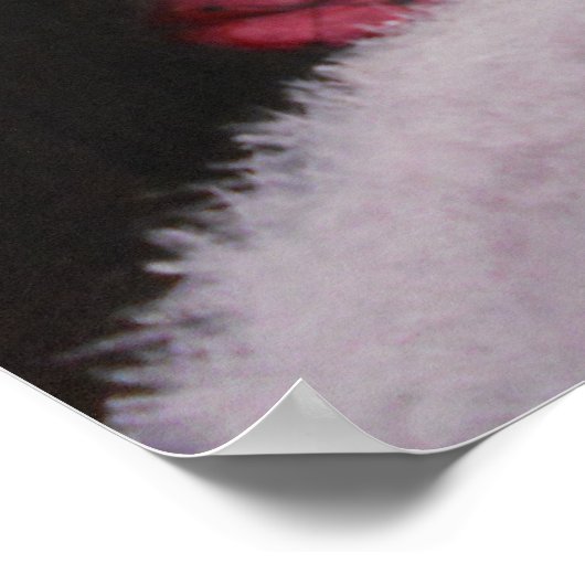 Poster/Eine Intrige Poster (Ecke)