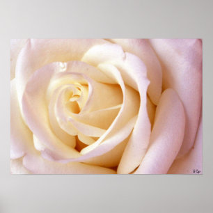 Poster einer Liebe, S Cyr