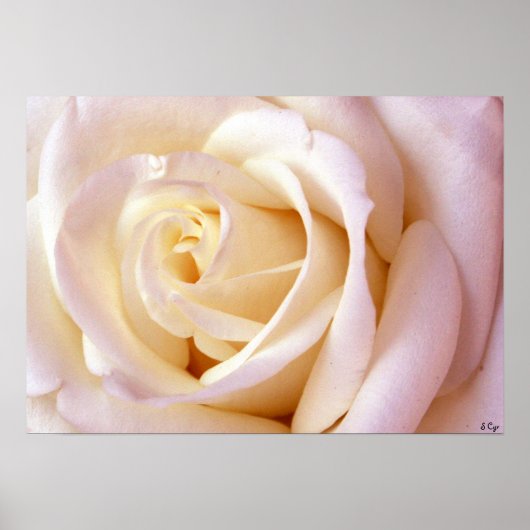 Poster einer Liebe, S Cyr (Vorne)